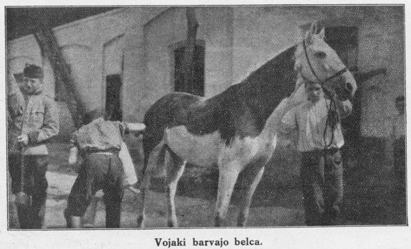 Vojaki barvajo belca [Soldiers painting the white horse], Ilustrirani glasnik, 1914, used on the cover of the catalogue Winter Stock by Domestic Research Society, 2008