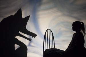 The staging of <i>Virginija Volk</i> (Virginia Wolf), directed by the Italian director Fabrizio Montecchi, one of the greatest masters of Shadow Theatre, 2017