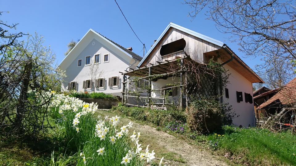File:Branislava Susnik Humanities Residency 2025 exterior 2 Photo Mojca Sfiligoj.jpg
