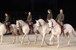 <i>The Way of the Rider</i>, a grand equestrian theatre spectacle by Bartabas, founder of Académie du Spectacle Équestre de Versailles at the Hippodrome Kamnica, <!--LINK'" 0:366-->