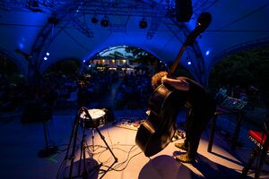 Musician Tomaž Grom performing at the Babylon Europa Festival in 2025. Photo: Jim Kroft