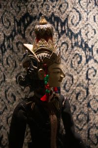 Artifacts featured in the permanent exhibition <i>Between Nature and Culture</i>, <!--LINK'" 0:45-->.