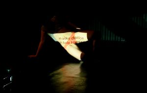 <i>Measure with micrometer, mark with chalk, cut with axe, when the moon is increasing</i>, Platforma festival, 2007