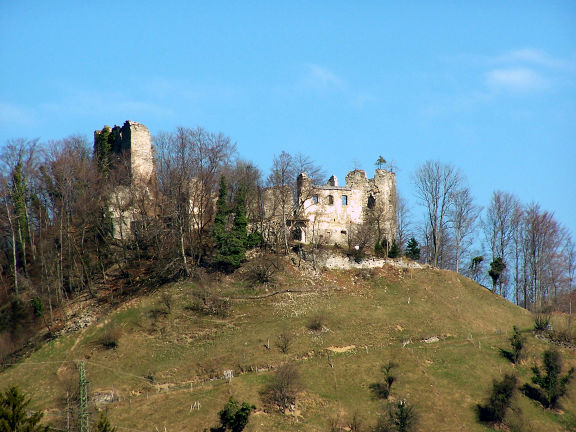 Milko Kos Historical Institute 2008 Gamberk Castle Photo Barbara Zabota.jpg