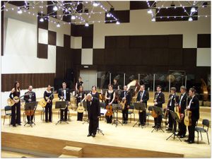 <!--LINK'" 0:281--> performing at the Belgrade Philharmonic Concert Hall, 2007