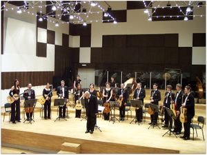 <!--LINK'" 0:116--> performing at the Belgrade Philharmonic Concert Hall, 2007