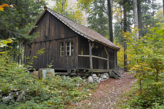 Part of the Baza 20 Memorial Site, Kočevski Rog, the only remaining example of many similar camps in the woods of Kočevski Rog, which were bases for the National Liberation Movement of Slovenia in the Second World War