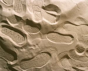 <i>Landmark: Footprint</i>, 2001&ndash;2002, by Allora and Calzadilla: an artistic collaboration between Jennifer Allora and Guillermo Calzadilla (Puerto Rico). Part of the Trienal Poli/Gráfica de San Juan: América Latina y el Caribe, Puerto Rico, the Grand Prix winner of the 26th <!--LINK'" 0:67-->, 2005.