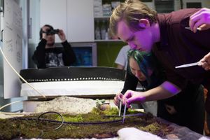 <!--LINK'" 0:638--> workshop, 2016