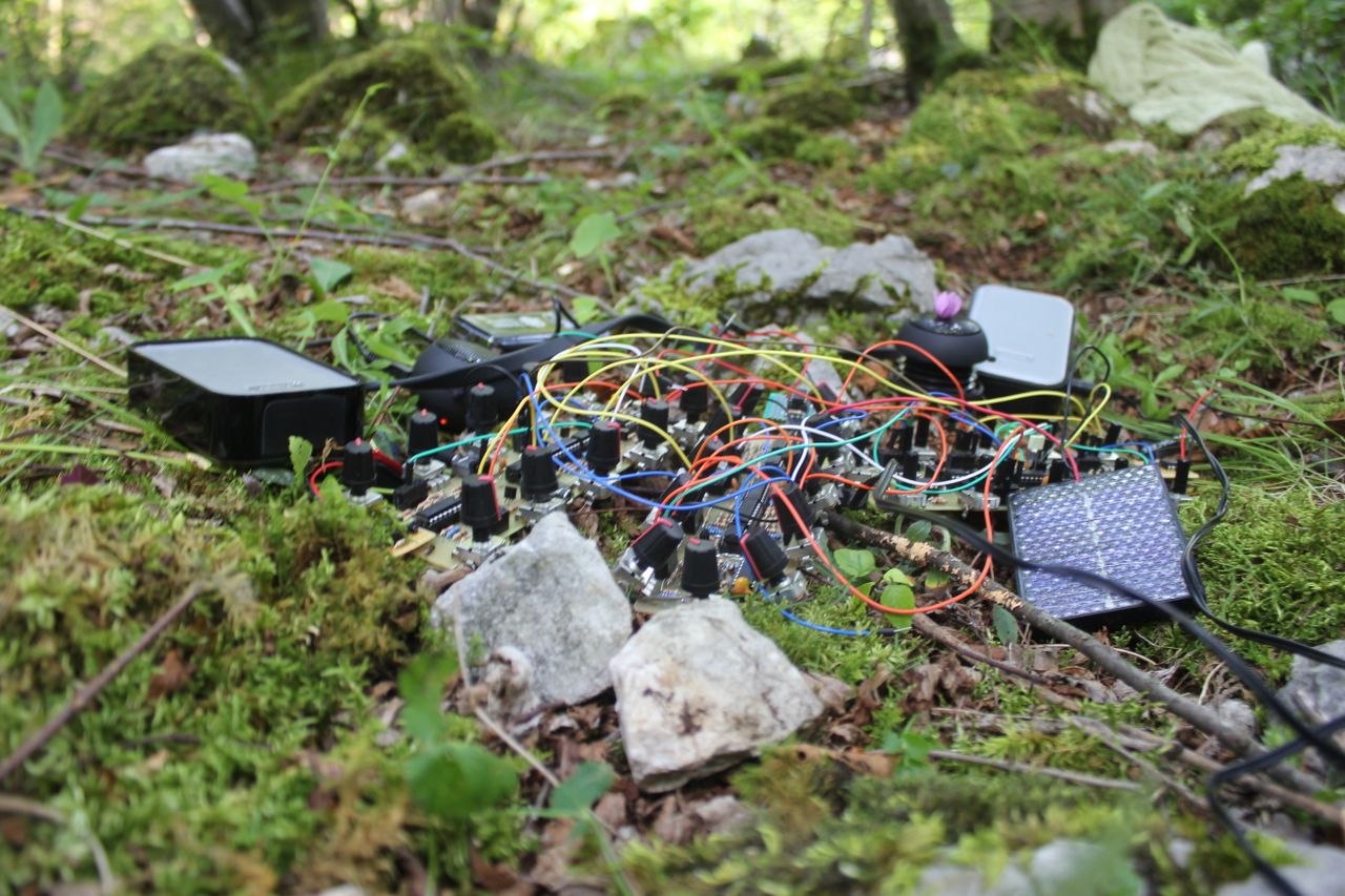 PIFcamp 2015 Hacking the meadows Photo Katja Goljat.JPG