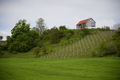 Kombinat Architects 2017 Vineyard cottage B Photo Janez Marolt.jpg