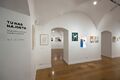 Center of Illustration 2023 here you find us group exhibition Photo Nada Zgank.jpg