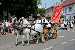 Croatian Cultural Society Pomurje at the traditional event Lendava Grape Harvest ("Lendavska trgatev").
