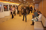 An exhibition of posters for festivals which form the International Alliance for Mountain Film, 2014