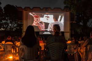 Screening at <i>Arrigoni</i> open-air cinema, 16th <!--LINK'" 0:305-->, 2020.