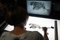 Slovene Animated Film Association 2025 Artist-in-Residency programme Photo Katja Goljat.jpg