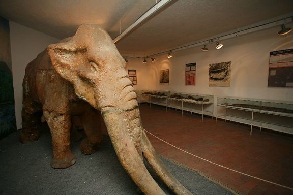 Mastodon, found in 1964 near Velenje, Velenje Museum