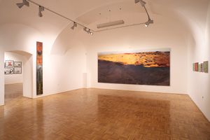 Private art collection <i>Okolje Consulting</i> displayed at the <!--LINK'" 0:813-->, 2010