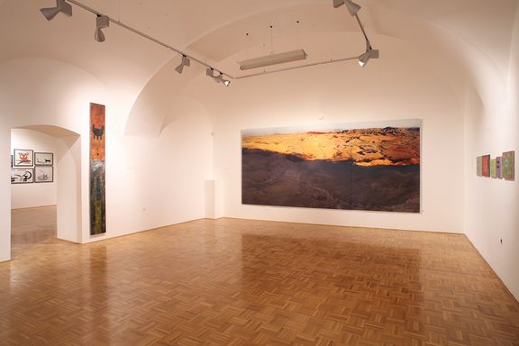 Private art collection Okolje Consulting displayed at the Celje Gallery of Contemporary Art, 2010