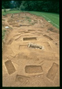 Annual systematic excavations in Kapiteljska njiva are carried out under the auspices of Dolenjska Museum archaeologist and curator Borut Kriz