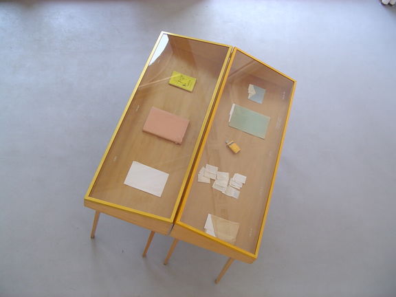 The Case. Methodological Exhibition by Alenka Pirman and Biserka Debeljak in Mala Gallery (2005)