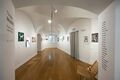 Center of Illustration 2023 group exhibition here you find us Photo Nada Zgank.jpg
