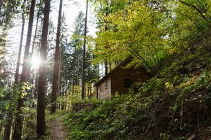 <!--LINK'" 0:142-->, 2019.