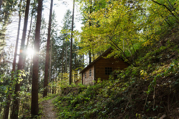 File:Paucek Partisan Hospital, Trska gora na Pohorju 2019 Photo Kaja Brezocnik.jpg