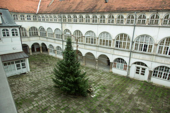 Museum of Madness 2015 Cmurek Castle Photo David Kranzelbinder.jpg