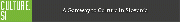 Culture.si banner, 728 x 90 px