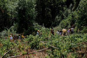 Summer school of the <!--LINK'" 0:196-->, a collective learning experience in the village of Topolò (summer 2022). Smell and taste exploration of abandoned orchards, fields and forest, guided by the Austrian designer <!--LINK'" 0:197-->.