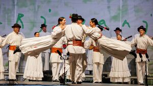 Folklore group from Dragatuš at <!--LINK'" 0:288--> in 2022. Author: Jani Pavlin
