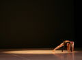 Association of Ballet Artists of Slovenia 2008 DBUS Photo Nada Mihajlovic.jpg