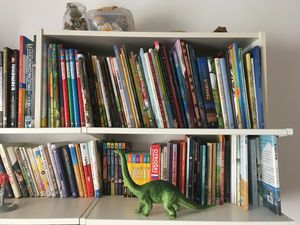 The home library of book blogger <!--LINK'" 0:233--> boasts a hearty collection of children’s picture books.