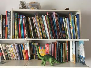 The home library of book blogger <!--LINK'" 0:74--> boasts a hearty collection of children’s picture books.