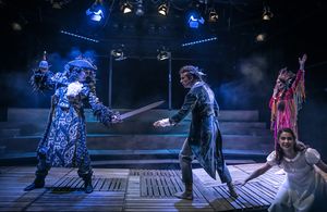 The staging of <i>Peter Pan</i>, a children's theatre play directed by <!--LINK'" 0:276-->, 2016