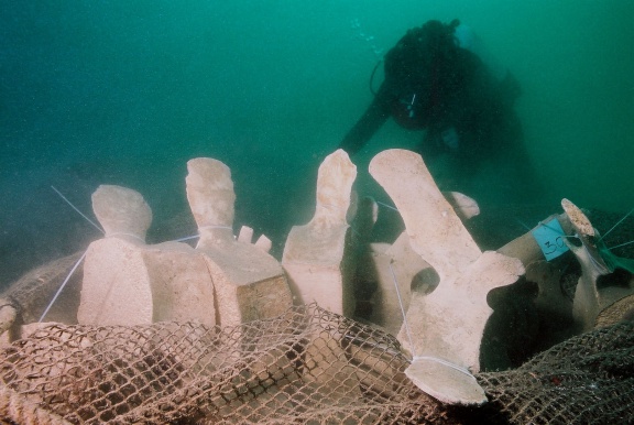 Parts of a skeleton of young Fin Whale found in Piran Bay in 2003, the largest exhibit in the Slovenian Museum of Natural History