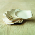 Month of Design 2010 Paper tableware Wasara.jpg