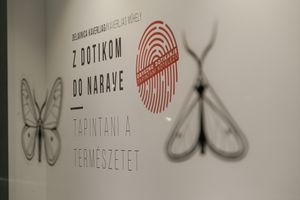 The exhibition <i>Touching the Nature</i> shows the works done at the <!--LINK'" 0:0--> in cooperation with the MoholyâNagy University in Budapest took place in March 2017 at the <!--LINK'" 0:1-->, previously named <!--LINK'" 0:2-->.