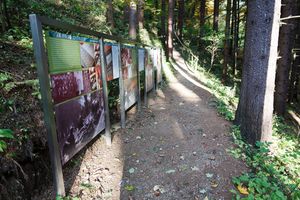 Information boards by the path leading to <!--LINK'" 0:284-->.