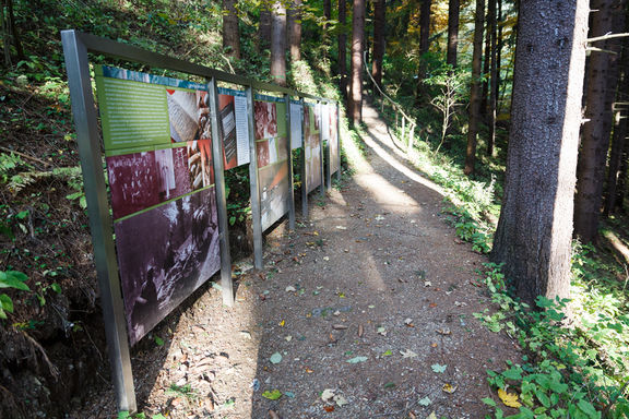 Paucek Partisan Hospital, Trska gora na Pohorju 2019 Information boards Photo Kaja Brezocnik.jpg