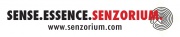 Senzorium Institute for Sensorial Theatre and Research