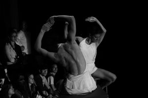 <i>The Memory of Water</i> written by British playwright Shelagh Stephenson, choreographed by Maša Kolar (HR), performed at <!--LINK'" 0:1024-->, 2013