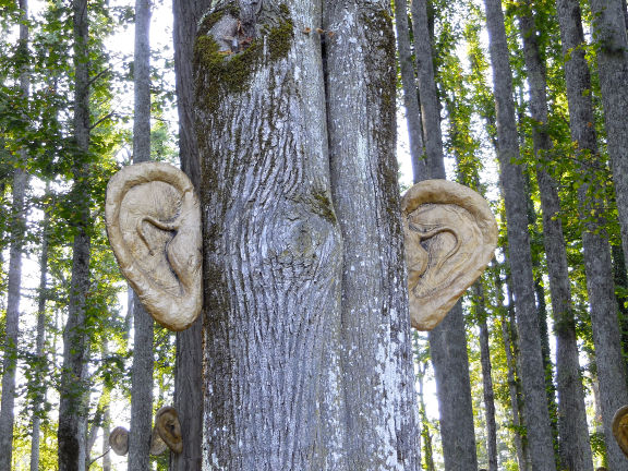 Site-specific installation in the forest at the Floating Castle Festival in the vicinity of Snežnik Castle, 2015