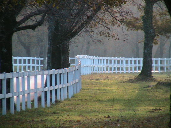 Autumn pastures at the Lipica Stud Farm, in the Karst region near the border with Italy, 2004