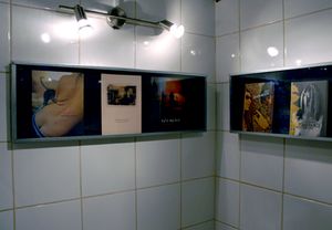 Exhibition of books from the Lambda and Vizibilija book series (published by <!--LINK'" 0:0-->) at the open.closet gallery, collated by Natasha Sukič and Brane Mozetič. <!--LINK'" 0:1-->, 2010