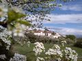 Maks Fabiani The architect town planner and thinker on the crossroads of histories 2019 Stanjel Castle Photo Ivana Zigon.jpg