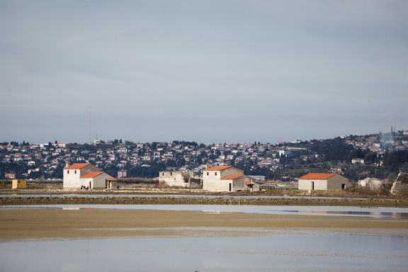 Sečovlje Regional Park, 2020.