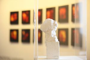 An artwork by Jordi Alcaraz, presented at the "Wunderkammer â The Grand Tour" exhibition at the 2015 edition of <!--LINK'" 0:503-->