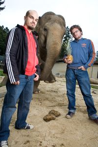 Musicians and stand-up comedians <!--LINK'" 0:271--> [The Elephant and the Fruit]